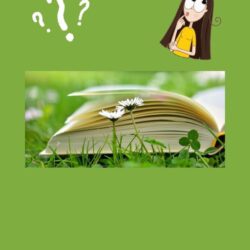 beelddenken en autisme